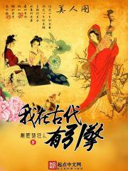 风起时梦筱二TXT百度网盘