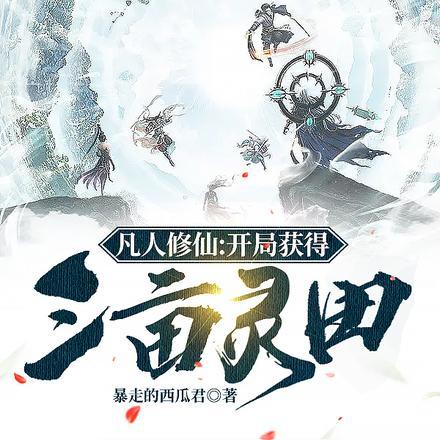 贼人休走