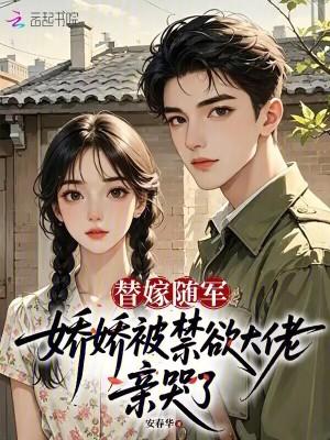 一个小寡妇