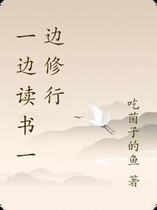 雍正王朝之四阿哥传奇