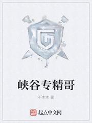 开着坦克做皇帝
