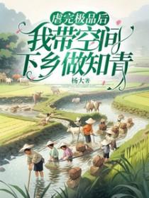 妻主玲珑【男尊女贵】