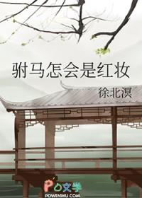 紫嫣的冬日：穿越时空爱恋