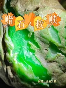 四合院之厨道宗师修行记