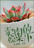 傻子宠妻日常